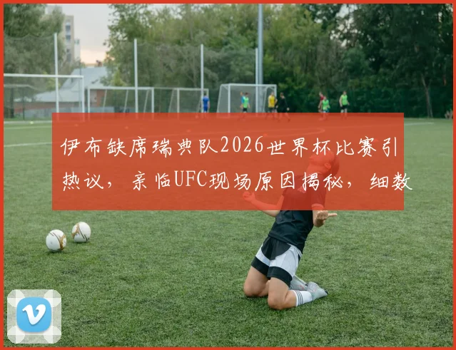 伊布缺席瑞典队2026世界杯比赛引热议,亲临UFC现场原因揭秘,细数其与国家队恩怨过往